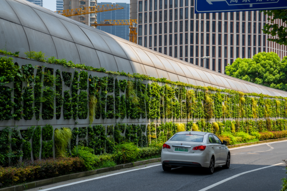 甜爱路墙面绿化和道路箱体绿化基于甜爱路浓厚的人文气息,甜爱路墙面