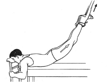 脊柱骨折的分型、诊断与治疗