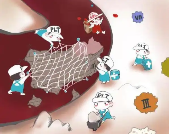 凝血全套检查什么凝血检查意义解答_https://www.jmylbn.com_新闻资讯_第2张