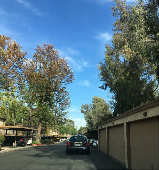 月子中心的_月子中心視頻介紹_美產(chǎn)子月子中心