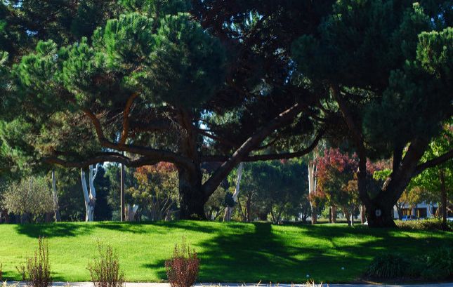 美產(chǎn)子月子中心_月子中心視頻介紹_月子中心的