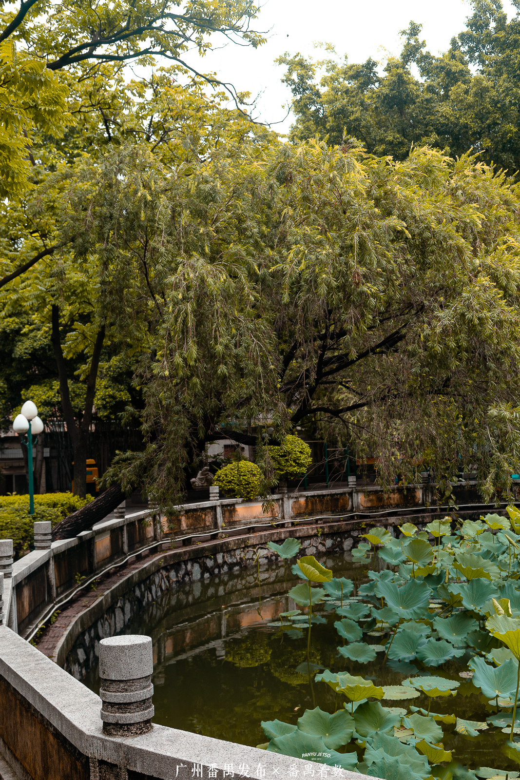 图 / 电影《热辣滚烫》取景地——市桥关边路