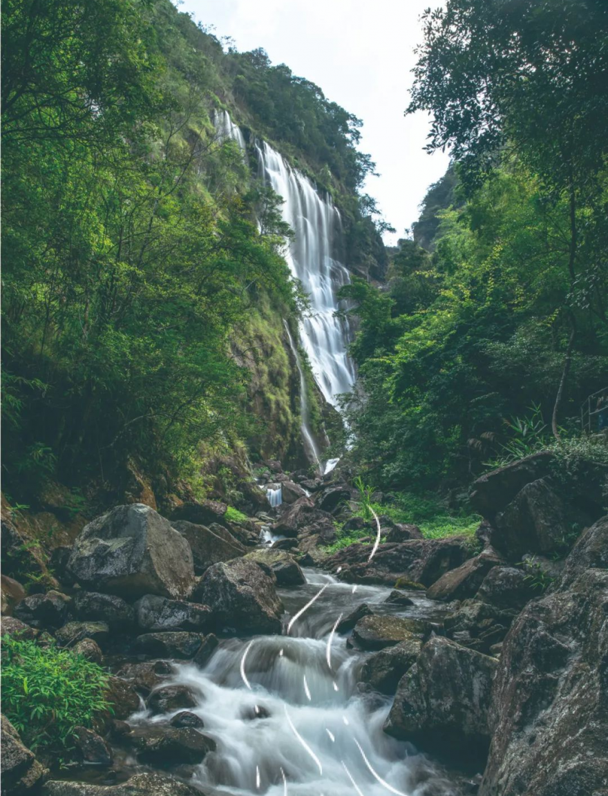 图/广州从化文广旅体发布