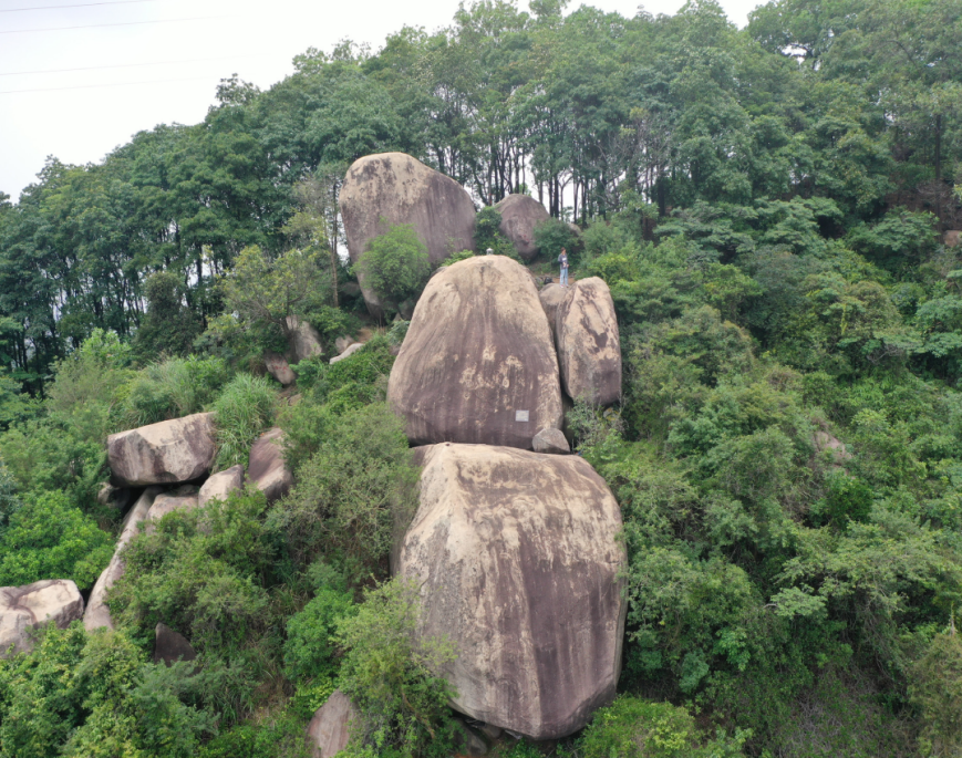 图/广州白云发布