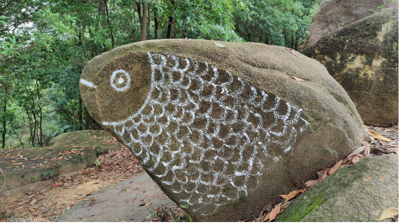 图/广州白云发布