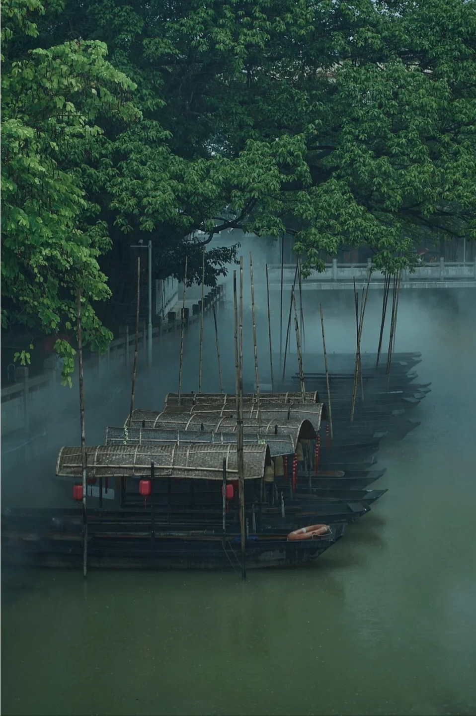 東涌水鄉 _ 廣州的“煙雨江南”，如詩如畫_5_小桑哥_來自小紅書網頁版.jpg