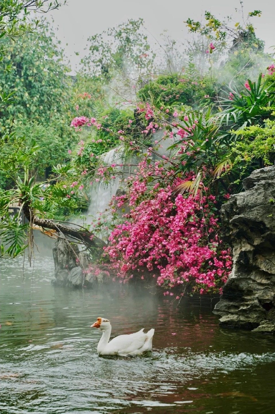 雨天的廣州余蔭山房，拍照太有氛圍感了！_3_小桑哥_來自小紅書網頁版.jpg
