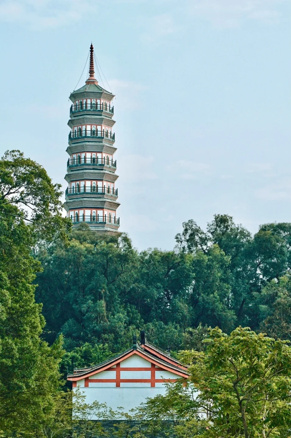 图/小桑哥