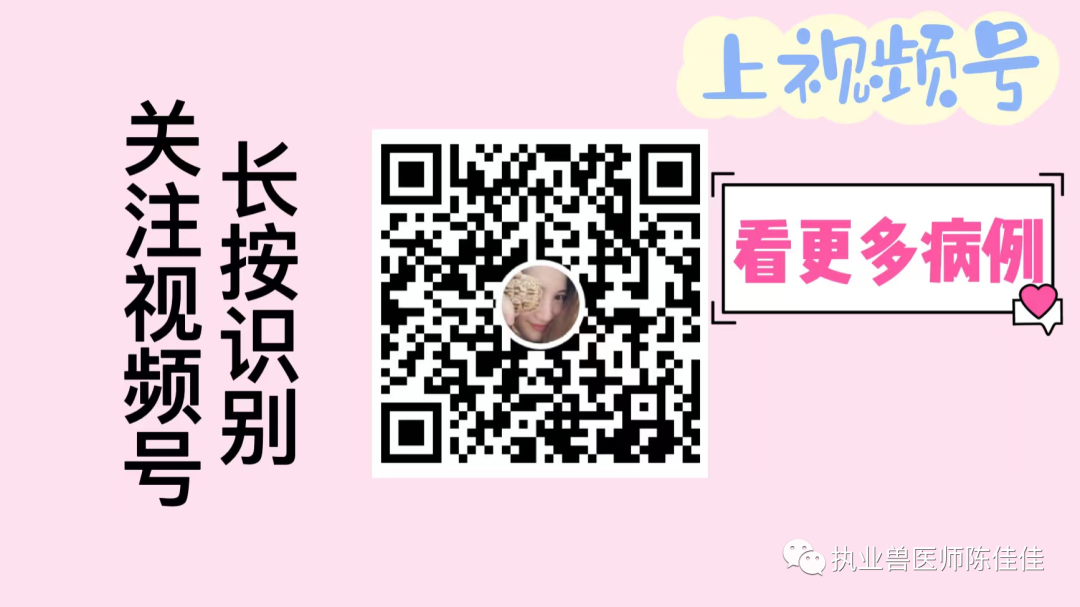 海龟医疗怎么样海龟经壳肠穿刺抽气治疗浮水_https://www.jmylbn.com_新闻资讯_第42张