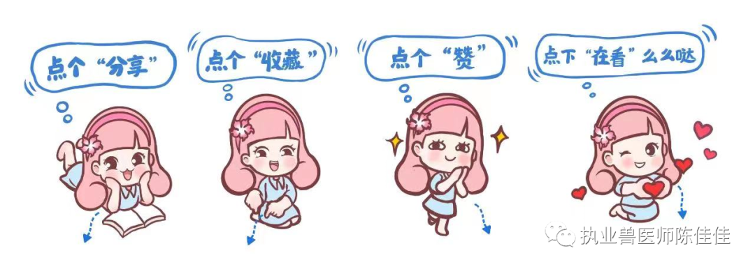 海龟医疗怎么样海龟经壳肠穿刺抽气治疗浮水_https://www.jmylbn.com_新闻资讯_第44张