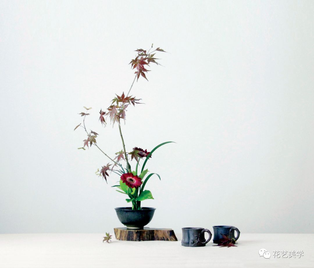 一茶席，无花不美，有花则仙