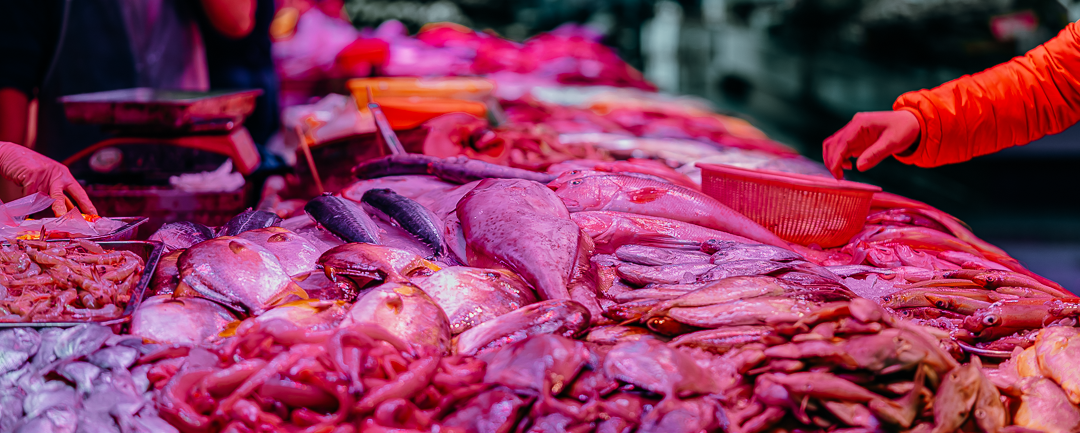 �������г���56��ȥ����55�˰���