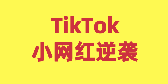 Tiktok带货门槛变低，小网红大流量！