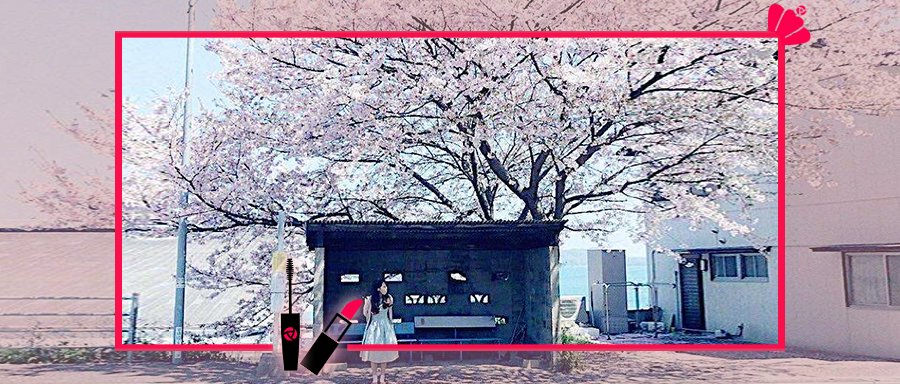 《快乐大本营》停播，不是所有节目都像康熙一样能体面退出