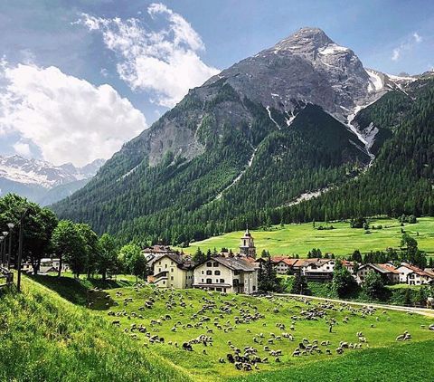 励志人生：人生是一场自我挑战，提升格局才能绽放人生。