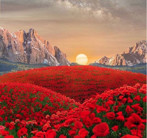 励志人生：强大一些，要相信你自己。