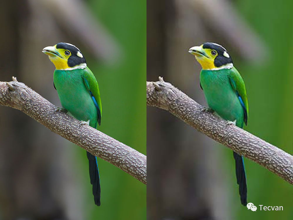 亮度压缩-示例图