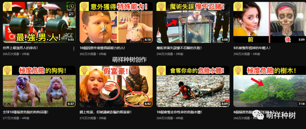 月入10W长期被动收入+12种高潜力(钱力)油管不露脸赚钱方法可批量复制式创业副业经验高价值干货分享-萌祥种树创作持续更新(图8)