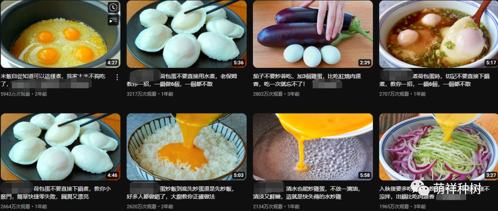 月入10W长期被动收入+12种高潜力(钱力)油管不露脸赚钱方法可批量复制式创业副业经验高价值干货分享-萌祥种树创作持续更新(图4)