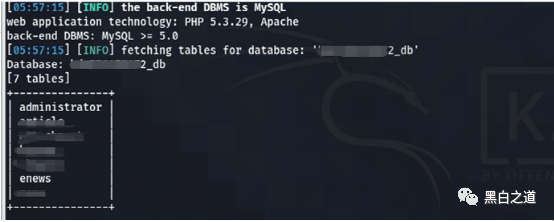 图11–某网站纯在SQl注入利用漏洞–seo优化_前端开发_渗透技术