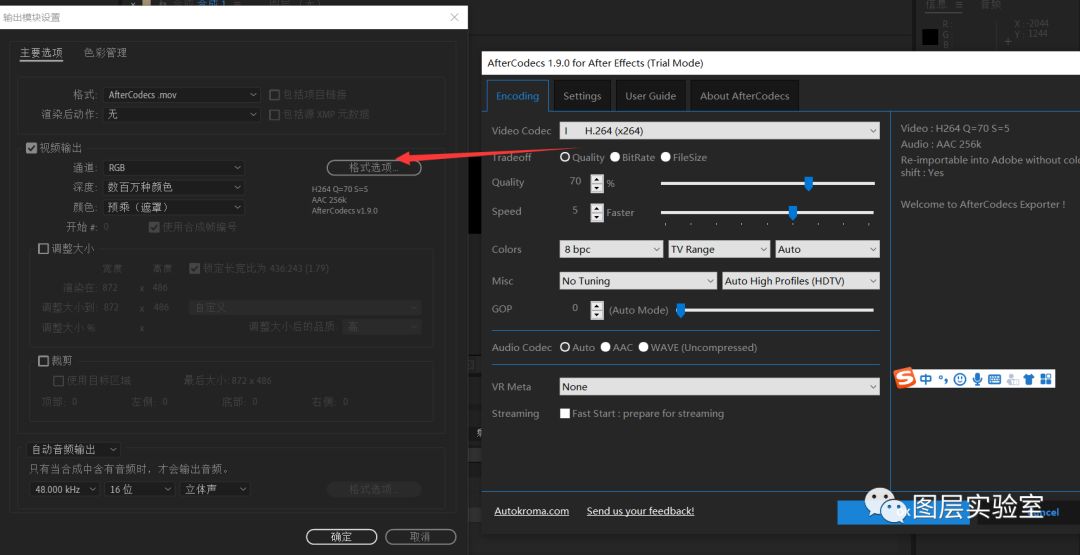 AE/PR/AME-特殊编码加速渲染输出编码插件AfterCodecs v1.9WIN破解版（1420）图层云