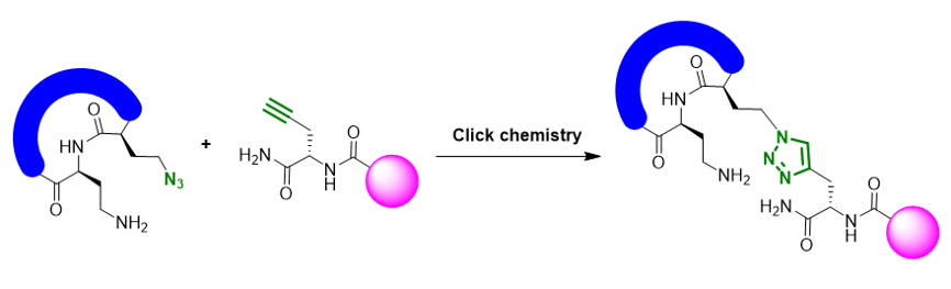 QM魔法小课堂24—应用QM研究叠氮转移反应的机理 第2张