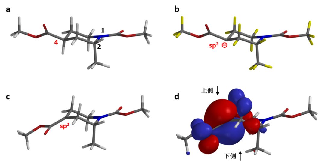 QM魔法小课堂4—利用构象分析和HOMO Map辅助反应产物预测 第2张