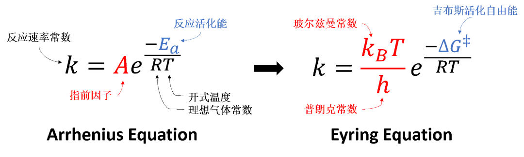 QM魔法小课堂8—站在巨人的肩膀上：哈蒙德假说 第2张