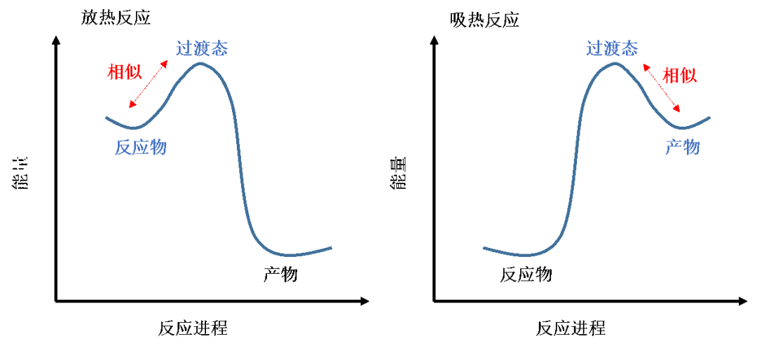 QM魔法小课堂8—站在巨人的肩膀上：哈蒙德假说 第4张