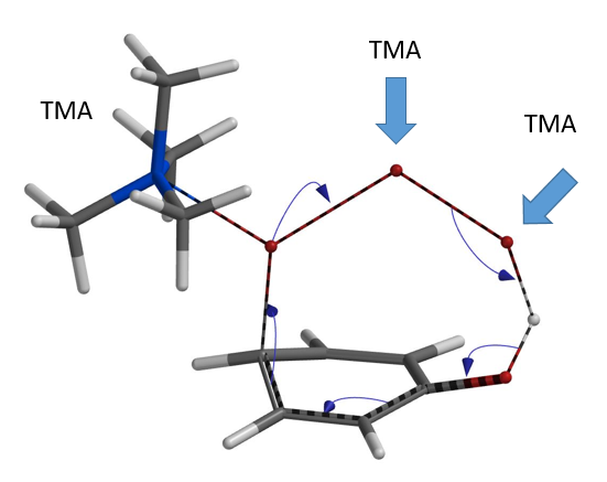 QM魔法小课堂23—QM探索TBABr3反应的对位选择性机理 第5张