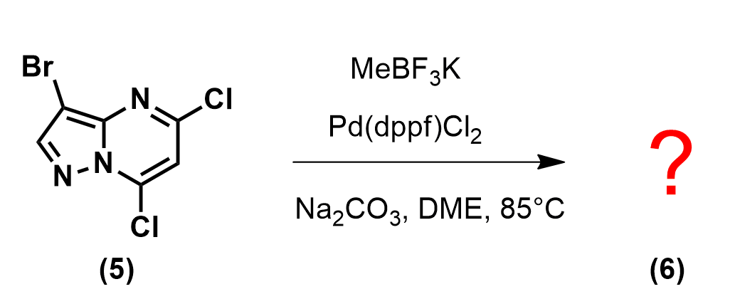 QM魔法小课堂5—QM在多卤素底物连续偶联反应中的应用 第10张