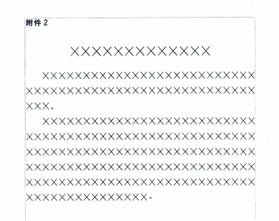 2025最新党政机关公文排版格式设置规范 第13张