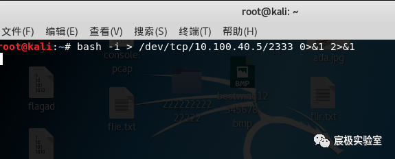 图27–反弹 shell 入门教学–seo优化_前端开发_渗透技术