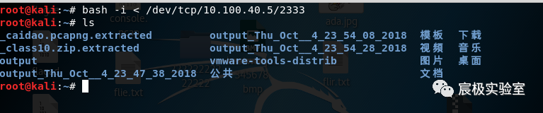图22–反弹 shell 入门教学–seo优化_前端开发_渗透技术