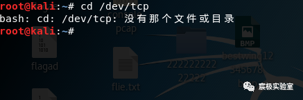 图10–反弹 shell 入门教学–seo优化_前端开发_渗透技术