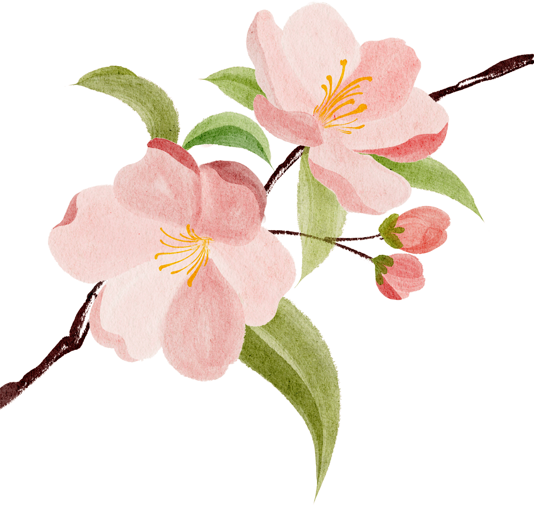 宫内镜怎么进入子宫【健康处方】带您了解“阴道内镜”_https://www.jmylbn.com_新闻资讯_第1张