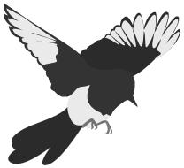 



七夕特辑 |  七夕，不止情人节那么简单...
