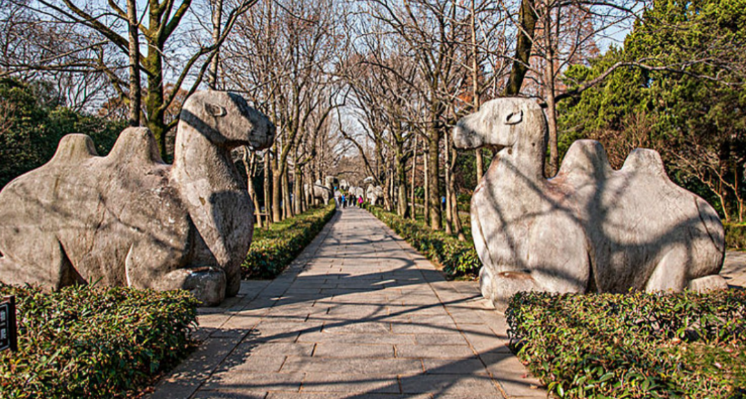 南京必去的10个景点_南京景区需要出示健康码吗_南京景点要钱吗