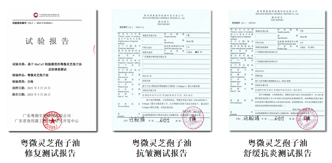 荣誉时刻 | CIC创新化妆品评鉴大赛出炉,粤微获两项大奖 ! 荣誉时刻 | CIC创新化妆品评鉴大赛出炉,粤微获两项大奖 !