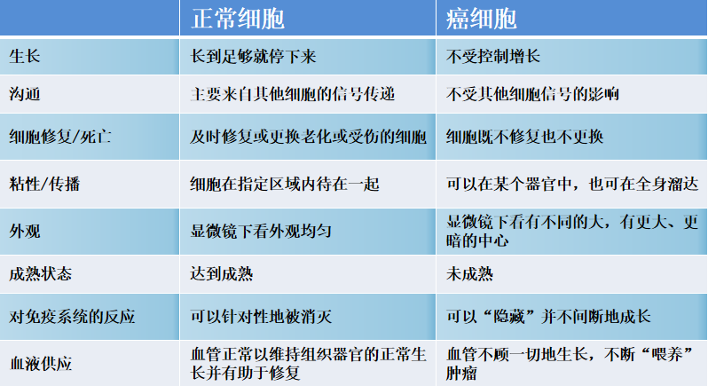 探秘丨癌细胞与正常细胞的差异 探秘丨癌细胞与正常细胞的差异