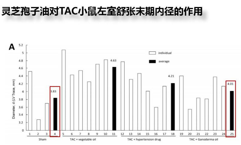 空调季心血管最怕的5件事!你也中招了吗? 空调季心血管最怕的5件事!你也中招了吗?
