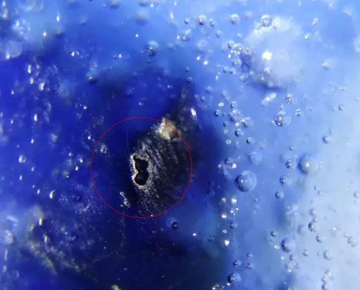 瓷器破泡里找到臭干黑或黄水斑，就可判定为古瓷了