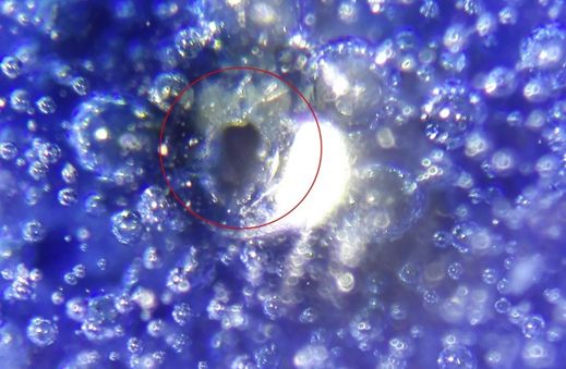 瓷器破泡里找到臭干黑或黄水斑，就可判定为古瓷了