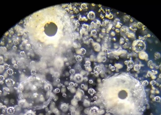 瓷器破泡里找到臭干黑或黄水斑，就可判定为古瓷了