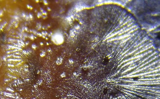 瓷器破泡里找到臭干黑或黄水斑，就可判定为古瓷了