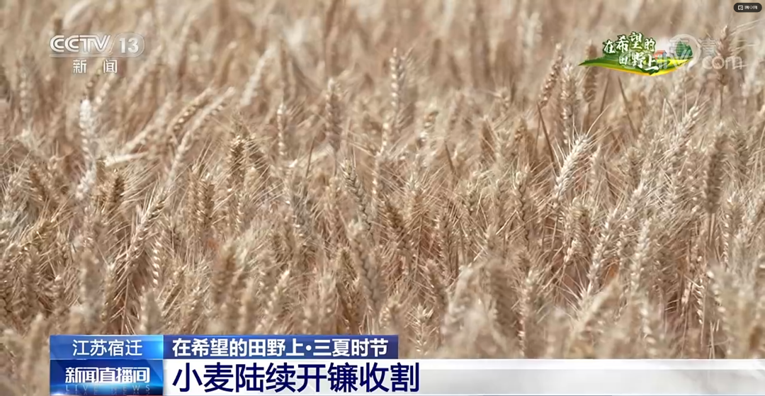 微信图片_20220605135104.png 图片
