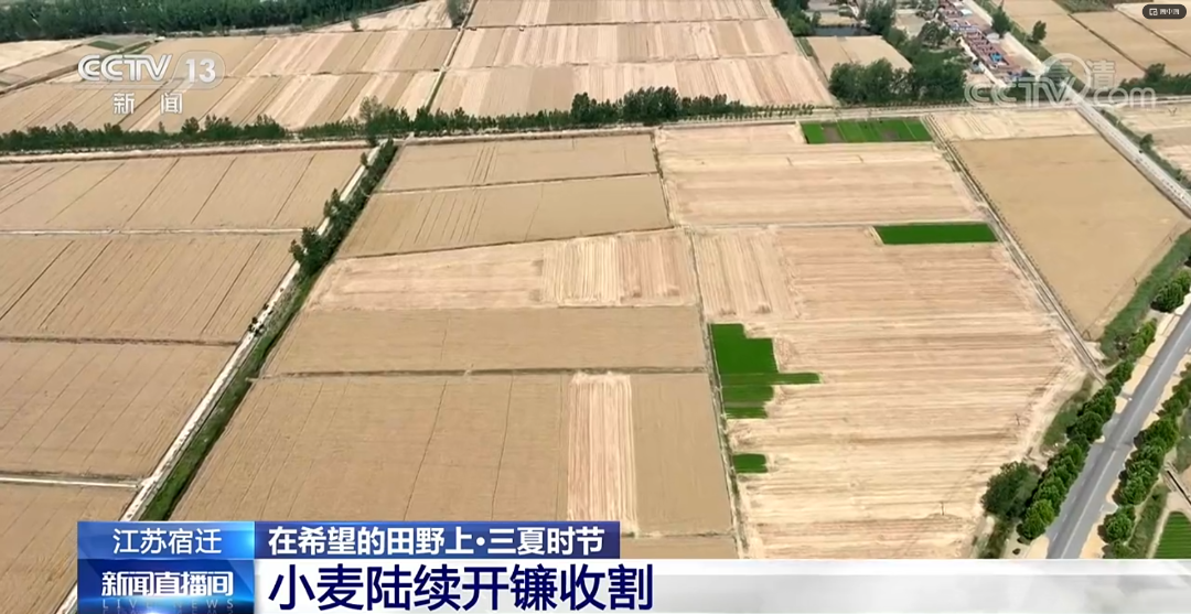 微信图片_20220605135101.png 图片