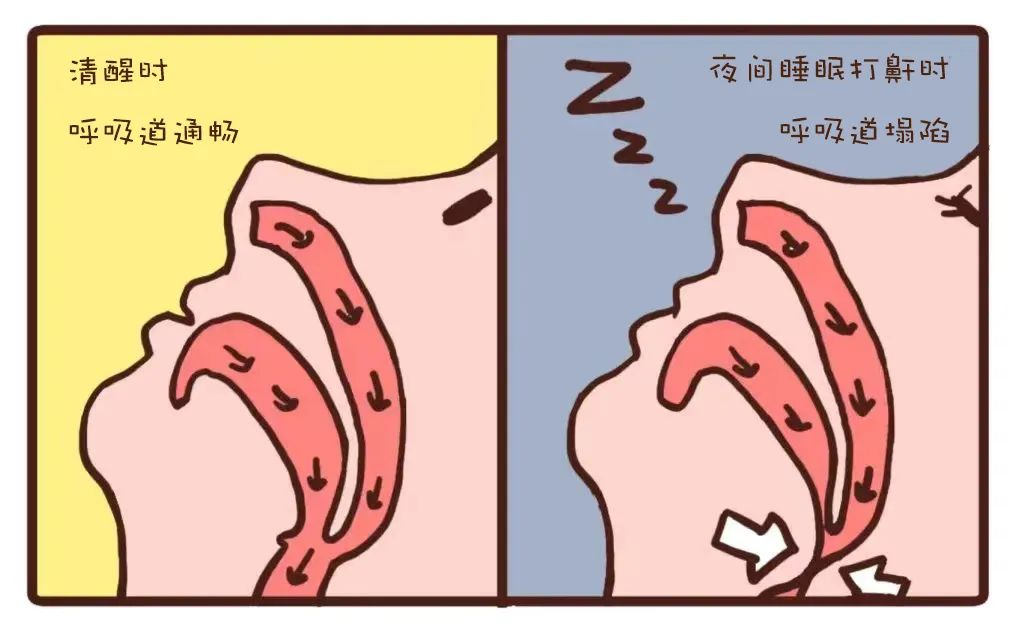 南川妇幼保健院怎么样妇幼健康丨 关于睡眠，你想知道的都在这里_https://www.jmylbn.com_新闻资讯_第6张