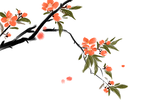 南川妇幼保健院怎么样医院动态丨冬病冬防，南川区妇幼保健院中医科“三九贴” 来啦！_https://www.jmylbn.com_新闻资讯_第7张