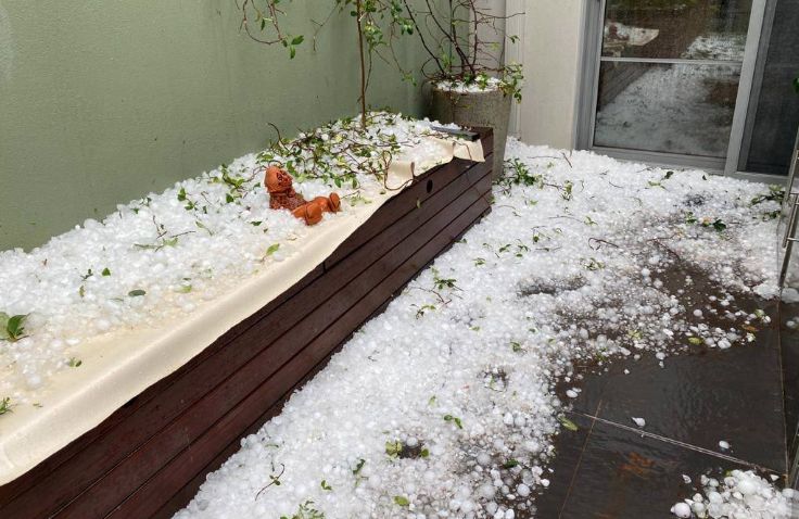 突发 | 堪培拉天降乒乓Size大冰雹，夏日一片雪国景象;车碎了，房子碎了，修车店老板忙到没空回消息······ - 11